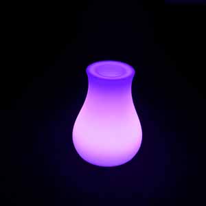 LED flower vase
